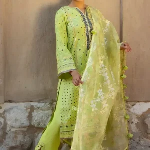 Gul Ahmed Hand Embroidered Raw Silk Suit with Organza Dupatta